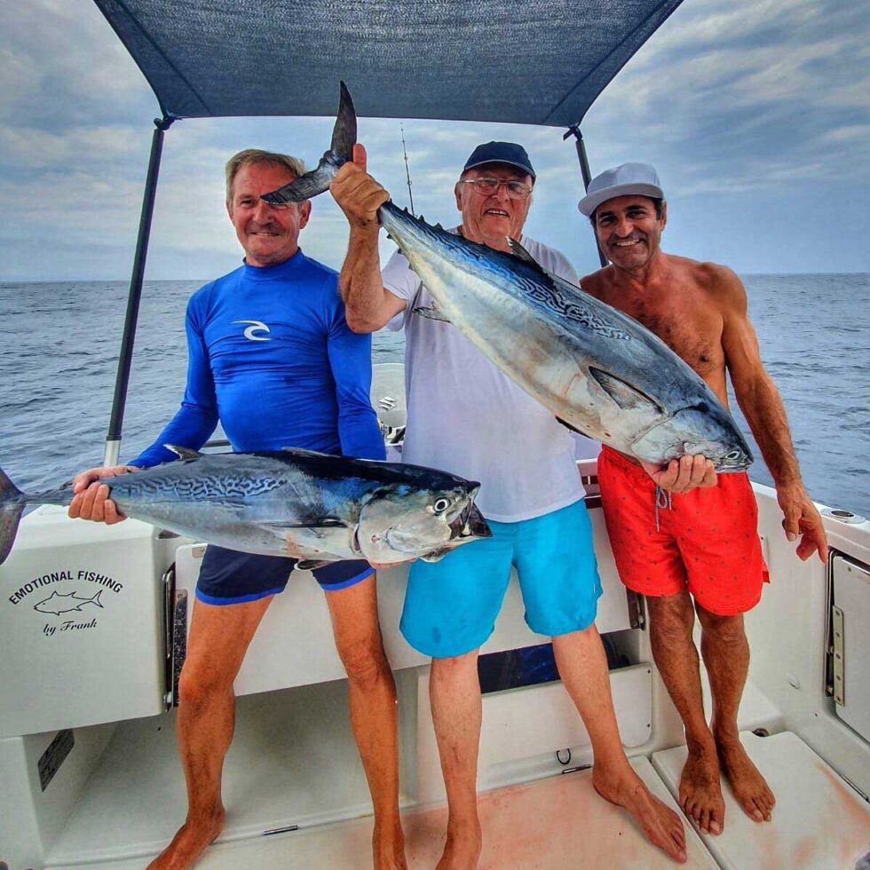 Curricán costero de superficie Emotional Fishing